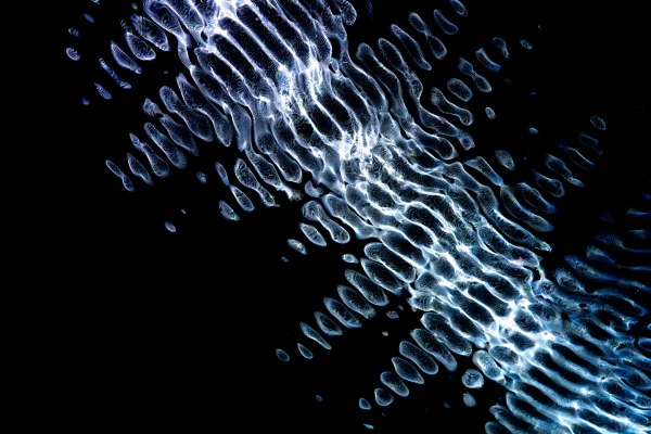 Dynamique linéaire Image